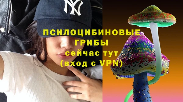 гидропоника Бикин