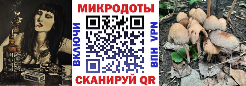 Галлюциногенные грибы мицелий  Батайск 